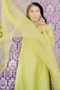 Ansab Jahangir | Luxury Silk Pret | RAY by Ansab Jahangir - Designer Dress - Type: Ladies Clothes - Available at Libayah - 100% Original