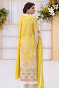 Ansab Jahangir | Chikankari | FEBA by Ansab Jahangir - Designer Dress - Type: Ladies Clothes - Available at Libayah - 100% Original