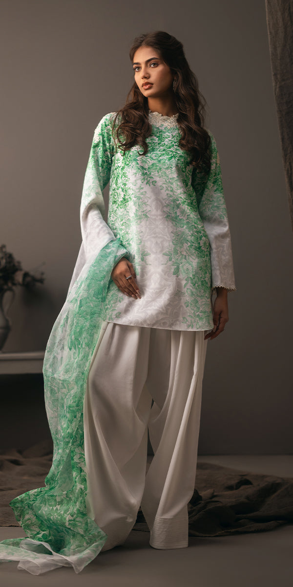 Erum Khan | Beyond Basic | VIVID ELEGANCE by Erum Khan - Designer Dress - Type: Ladies Clothes - Available at Libayah - 100% Original