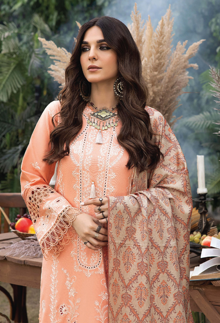 Humdum | Denara 2024 | Denara - D08 by HumDum - Designer Dress - Type: Luxury - Available at Libayah - 100% Original