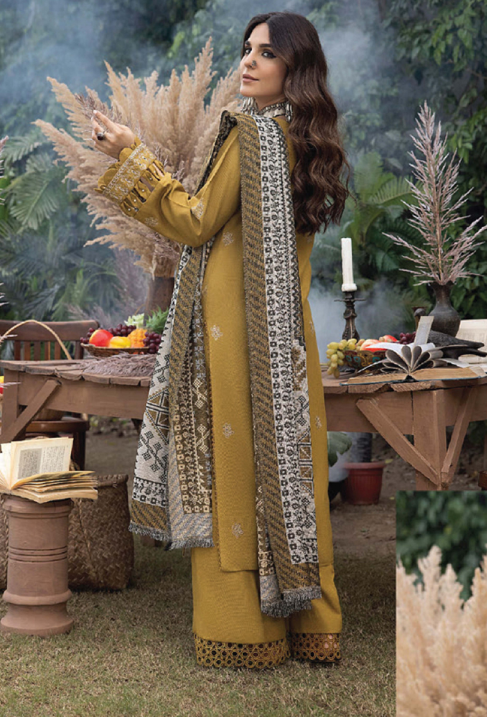 Humdum | Denara 2024 | Denara - D06 by HumDum - Designer Dress - Type: Luxury - Available at Libayah - 100% Original