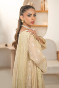 Declare | Eid Collection 25 | PB01075 by Declare - Designer Dress - Type: Ladies Clothes - Available at Libayah - 100% Original