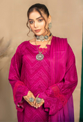 Humdum | AANGAN SS 24 | Aangan - D08 by HumDum - Designer Dress - Type: Ladies Clothes - Available at Libayah - 100% Original