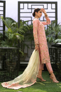 Wahaj M.Khan | Nureh Wedding Formals | Pink and Mint Green Straight Shirt and Pant by Wahaj M.Khan - Designer Dress - Type: Ladies Clothes - Available at Libayah - 100% Original