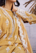 Adans Libas | Lasserkari 25 | LASSERKARI 3904 by Adans Libas - Designer Dress - Type: Ladies Clothes - Available at Libayah - 100% Original