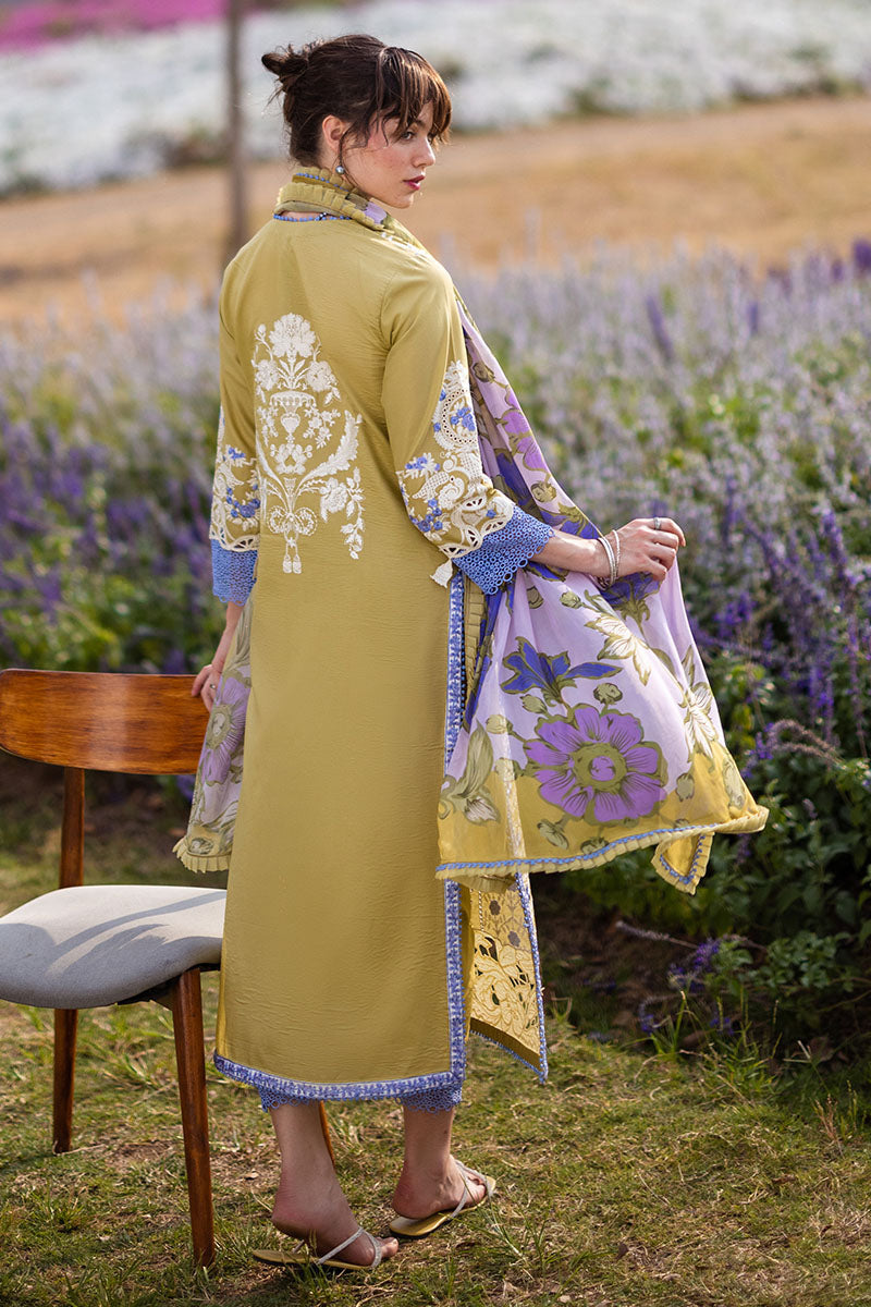 Mushq | Hemline The Secret Garden | MYSTICAL FERN