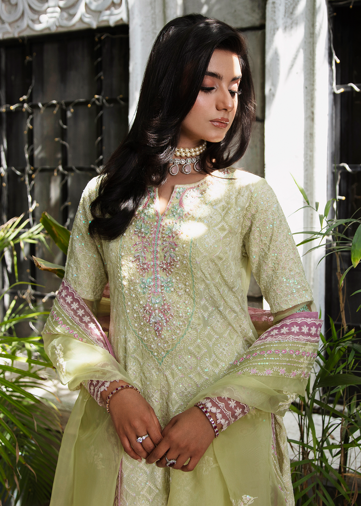 Maria Osama Khan | Rang e Noor Eid Edit | Nargis-Yellow