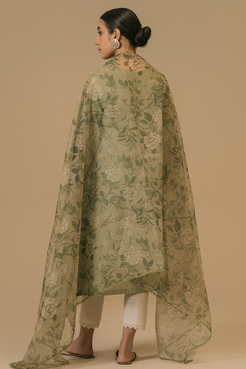 Cross Stitch | Eid Collection | OLIVE VISTA by Cross Stitch - Designer Dress - Type: Ladies Clothes - Available at Libayah - 100% Original