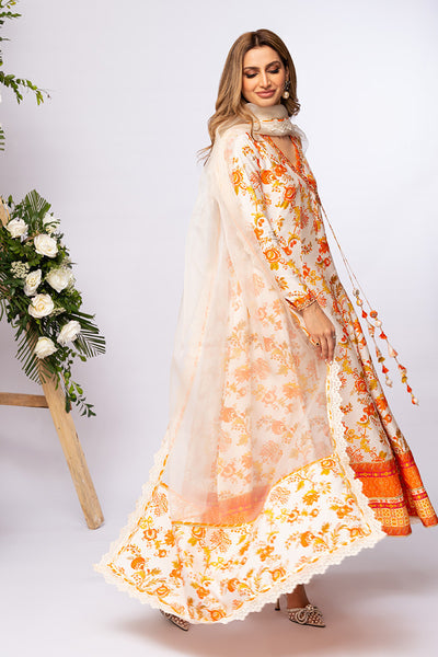 Amna Arshad | Zolu Collection 24 | Somaya by Amna Arshad - Designer Dress - Type: Luxury - Available at Libayah - 100% Original