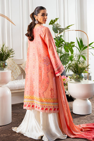 Amna Arshad | Zolu Collection 24 | Shenaya by Amna Arshad - Designer Dress - Type: Luxury - Available at Libayah - 100% Original