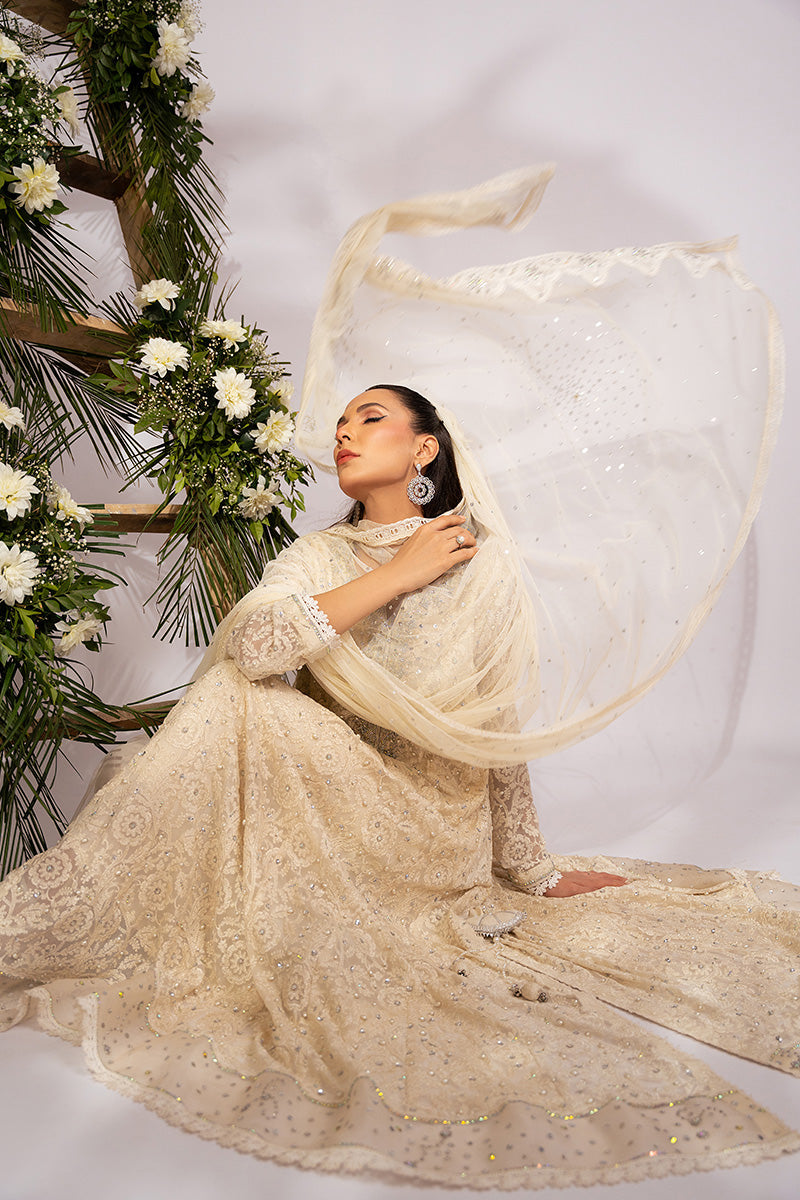 Amna Arshad | Zolu Collection 24| Amaira by Amna Arshad - Designer Dress - Type: Luxury - Available at Libayah - 100% Original