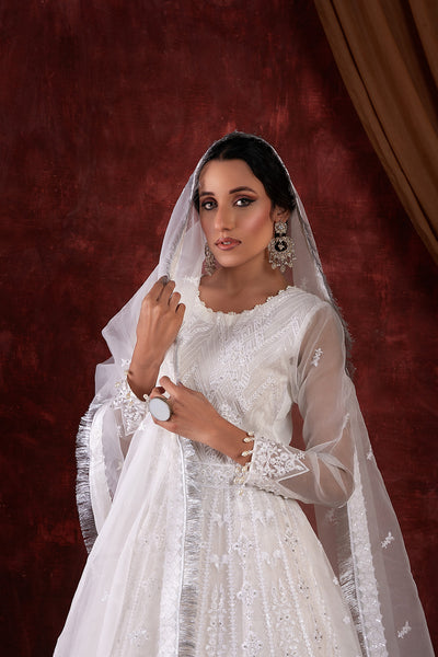 House of Nawab | Luxury Formals | AZKA by House of Nawab - Designer Dress - Type: Ladies Clothes - Available at Libayah - 100% Original