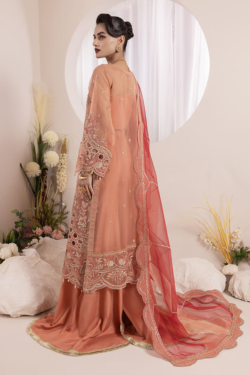 Diara Couture | Aaraish Formals | NOSHEEN - US-645 by Diara Couture - Designer Dress - Type: Ladies Clothes - Available at Libayah - 100% Original