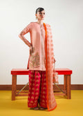 Hussain Rehar | Basic Not Basic |  Blush by Hussain Rehar - Designer Dress - Type: Ladies Clothes - Available at Libayah - 100% Original