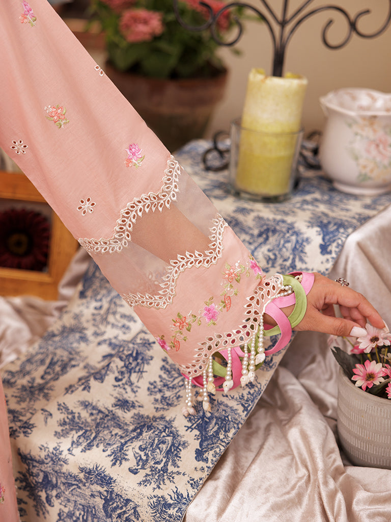 Rajbari | Nissa Chikankari Edition 25 | D# - 03 by Rajbari - Designer Dress - Type: Ladies Clothes - Available at Libayah - 100% Original