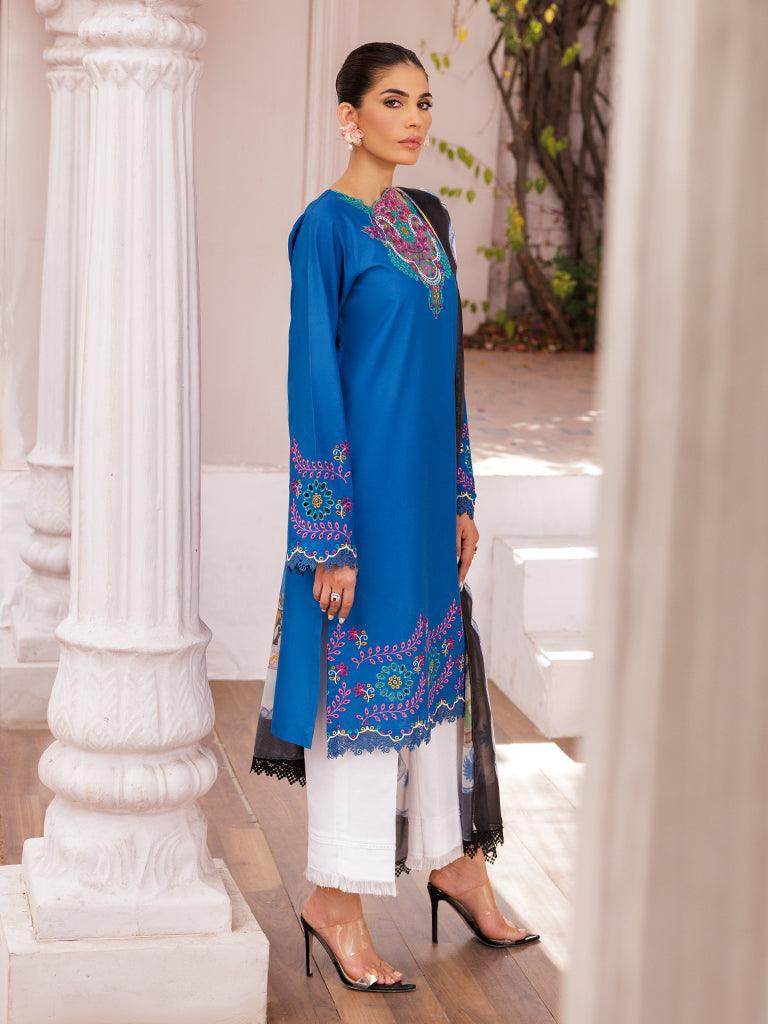 Rajbari | Nissa Chikankari Edition 25 | D# - 04 by Rajbari - Designer Dress - Type: Ladies Clothes - Available at Libayah - 100% Original