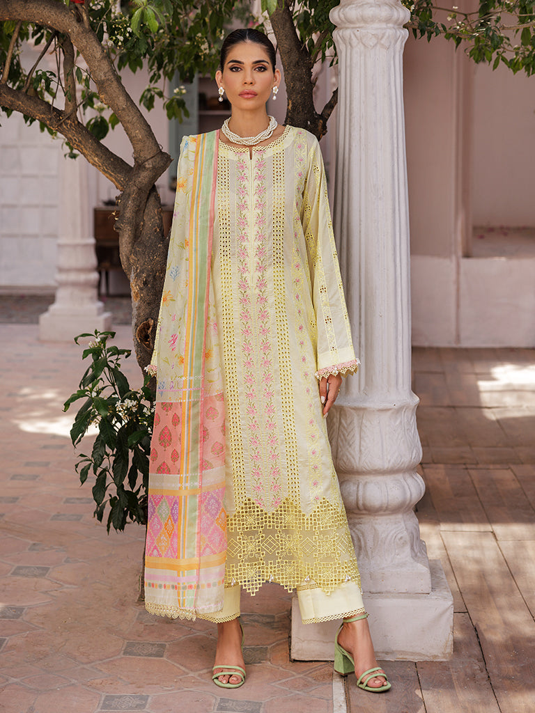 Rajbari | Nissa Chikankari Edition 25 | D# - 09 by Rajbari - Designer Dress - Type: Ladies Clothes - Available at Libayah - 100% Original