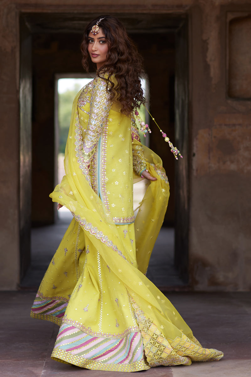 Qalamkar | Shadmani Luxury Formals |  Dania SH-05 by Qalamkar - Designer Dress - Type: Ladies Clothes - Available at Libayah - 100% Original