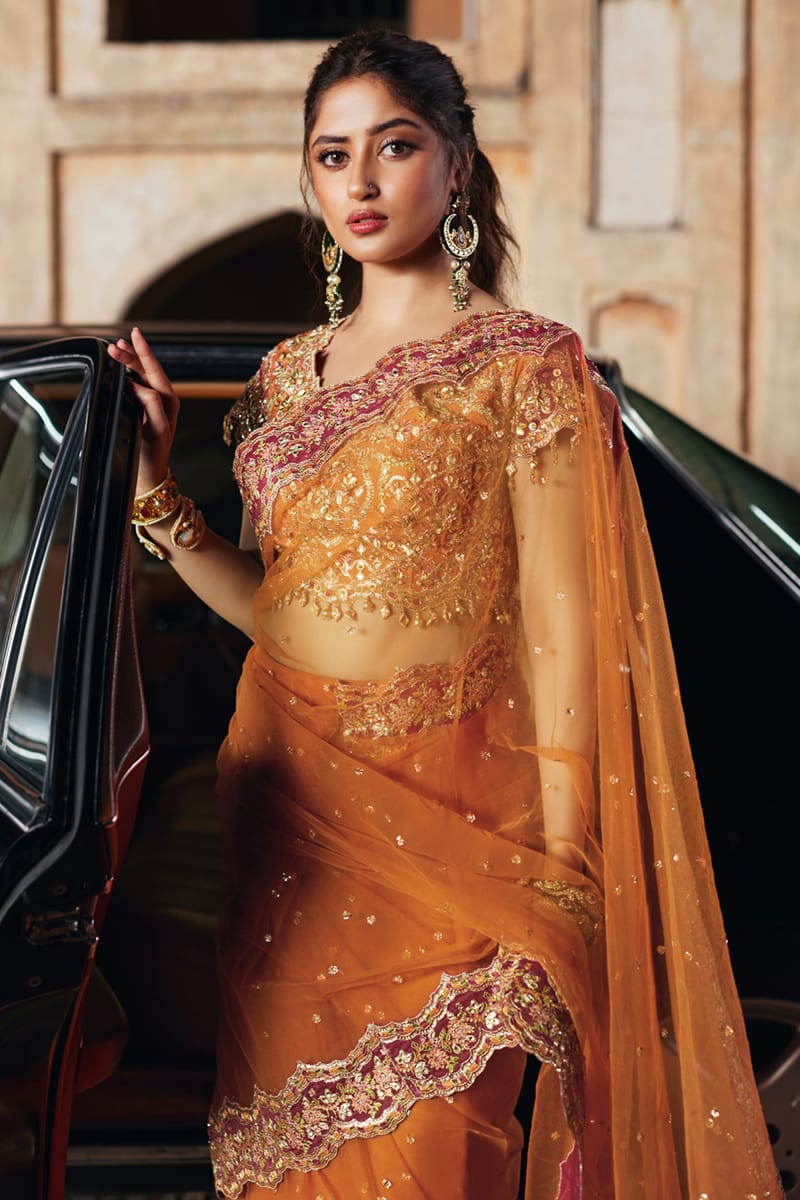 Qalamkar | Shadmani Luxury Formals |  Raniya SH-02 by Qalamkar - Designer Dress - Type: Ladies Clothes - Available at Libayah - 100% Original