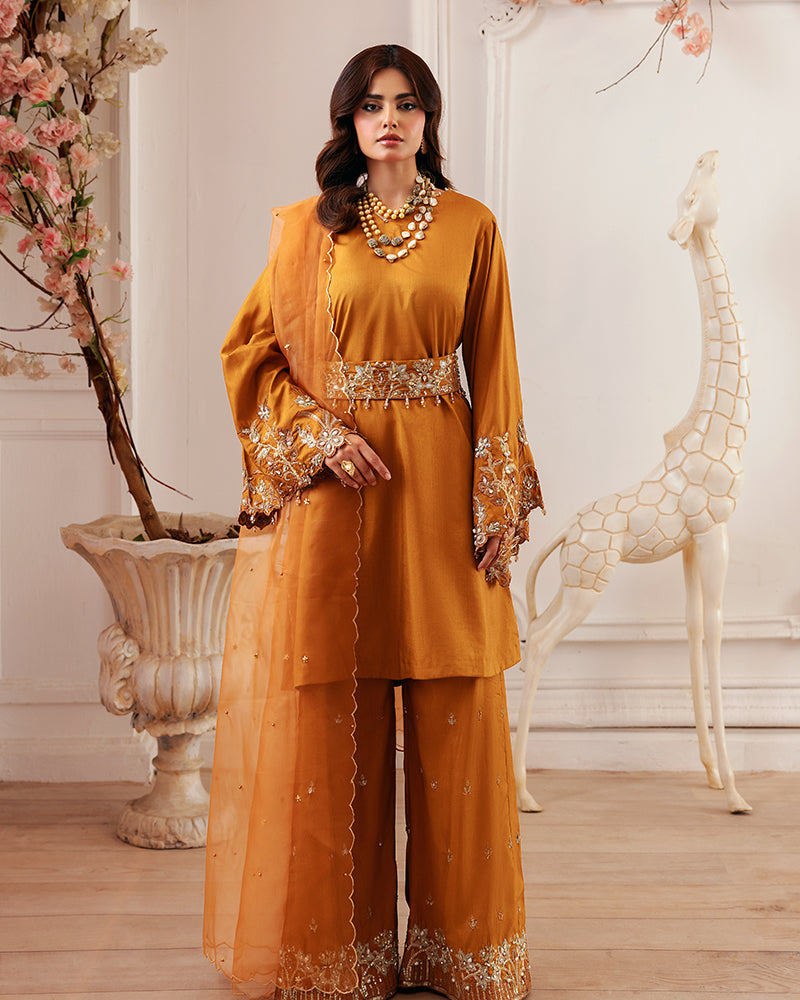 Ain | Zahra Formal Edit 25 | AN-110 by Ain - Designer Dress - Type: Ladies Clothes - Available at Libayah - 100% Original