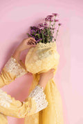 Aabyaan | Eid Pret 25 |MAHVEEN AP-04 by Aabyaan - Designer Dress - Type: Ladies Clothes - Available at Libayah - 100% Original