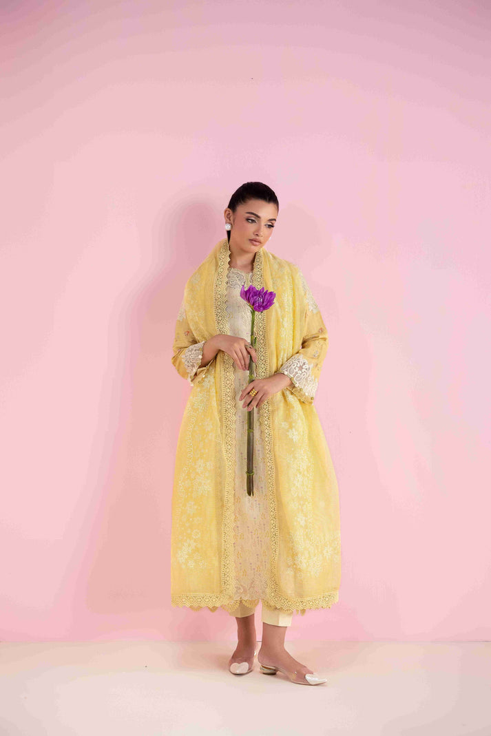 Aabyaan | Eid Pret 25 |MAHVEEN AP-04 by Aabyaan - Designer Dress - Type: Ladies Clothes - Available at Libayah - 100% Original
