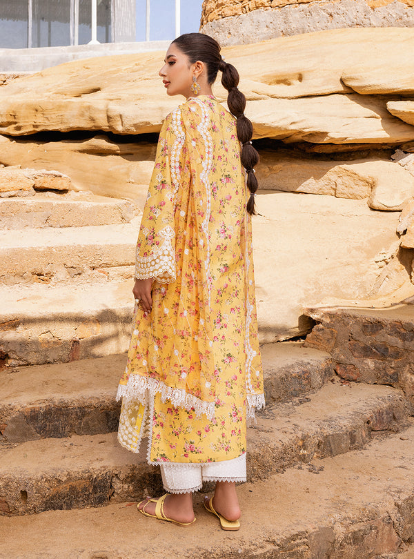 Zainab chottani | Luxury Chikankari 24 | ESME - 9B by Zainab Chottani - Designer Dress - Type: Ladies Clothes - Available at Libayah - 100% Original