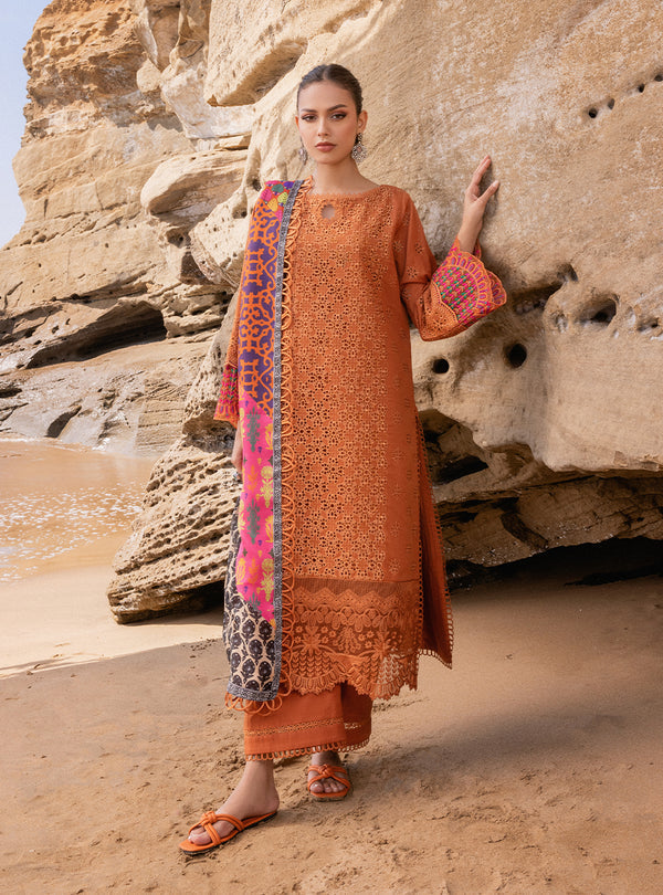 Zainab chottani | Luxury Chikankari 24 | NAYSA - 4A by Zainab Chottani - Designer Dress - Type: Ladies Clothes - Available at Libayah - 100% Original