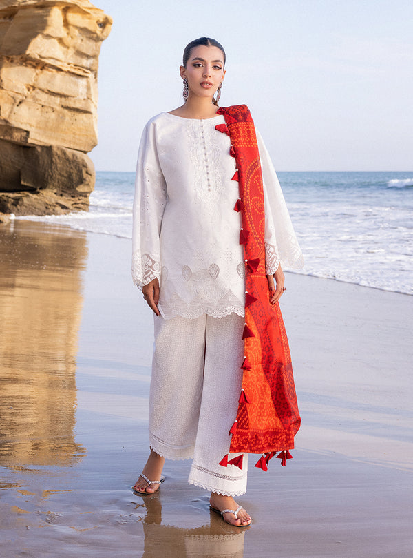 Zainab chottani | Luxury Chikankari 24 | CHUNARI - 3A by Zainab Chottani - Designer Dress - Type: Ladies Clothes - Available at Libayah - 100% Original
