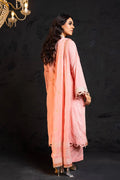 Alkaram | Spring Summer Festive 24 | Embroidered Lawn Light Pink by Alkaram - Designer Dress - Type: Ladies Clothes - Available at Libayah - 100% Original