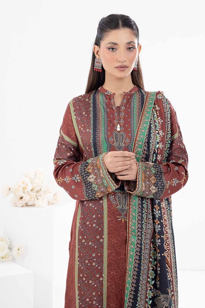 Gul Ahmed | Winter Collection 24 | Suit WNS-32249 A by Gul Ahmed - Designer Dress - Type: Ladies Clothes - Available at Libayah - 100% Original