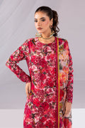 Imrozia Premium | Noor 25 | SP-55 MAHIRA by Imrozia Premium - Designer Dress - Type: Ladies Clothes - Available at Libayah - 100% Original